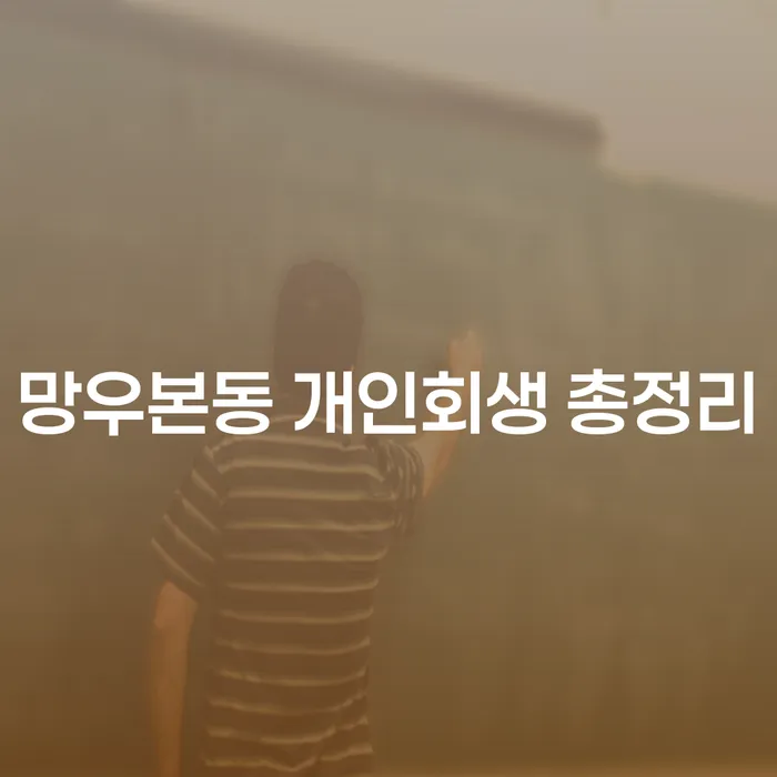 망우본동 개인회생 총정리